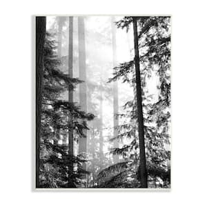 Forest Light Shining Trees Landscape Photography By Gail Peck Unframed Print Nature Wall Art 10 in. x 15 in.