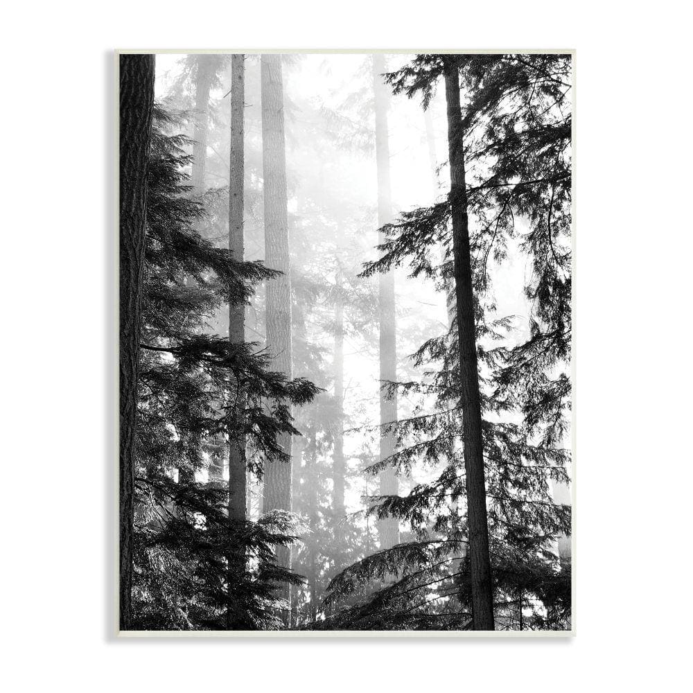 Forest Light Shining Through Trees Black and White Wall Plaque