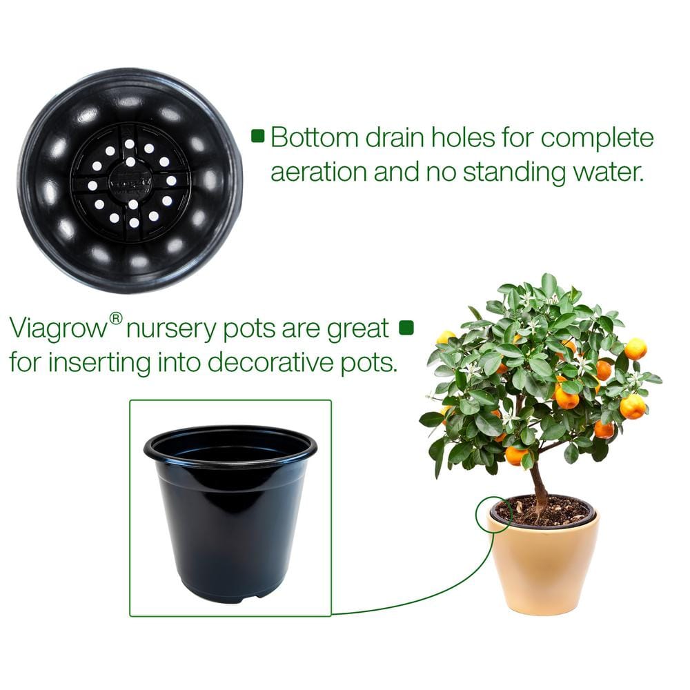 Black Plastic Small Round Nursery Pots Set of 12