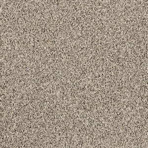 Radiant Retreat II Sienna Brown 58 oz. Polyester Textured Installed Carpet