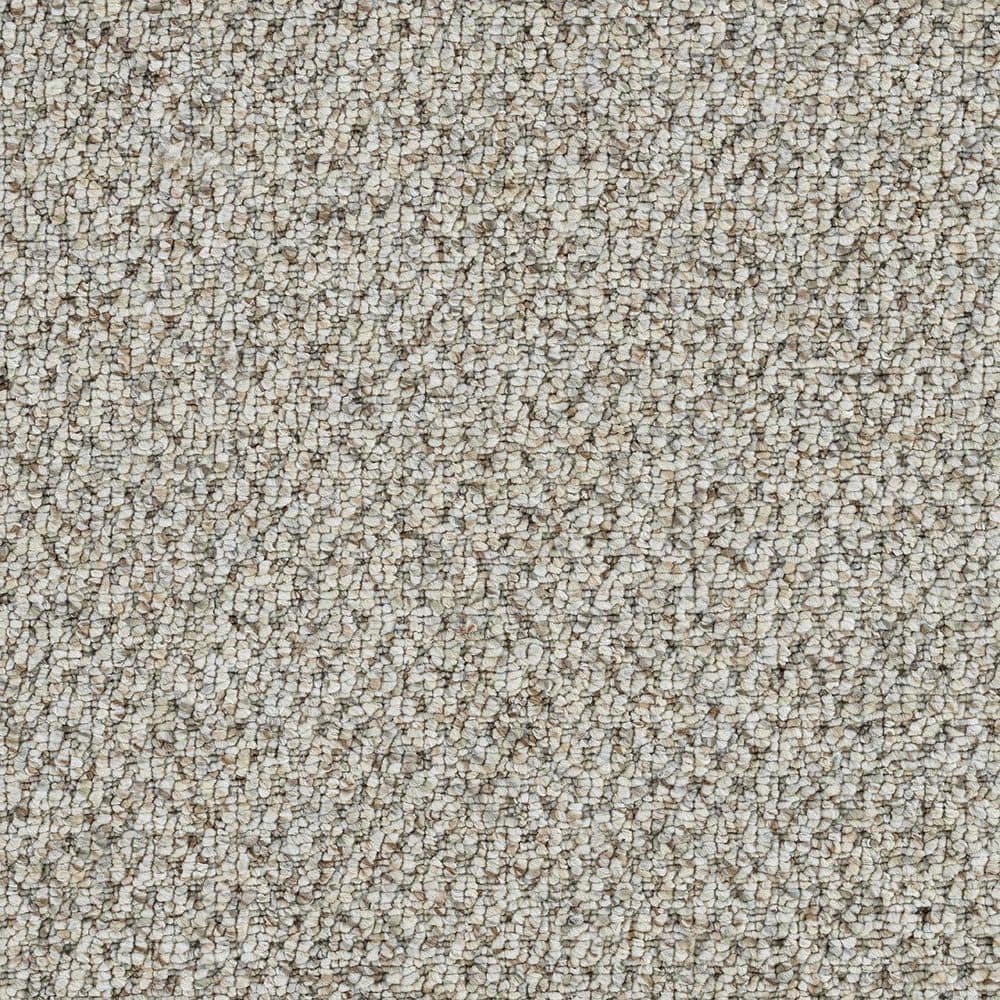 8 in. x 8 in. Loop Carpet Sample - Verse Vibe - Color Jazzy price history on PriceWatchPro