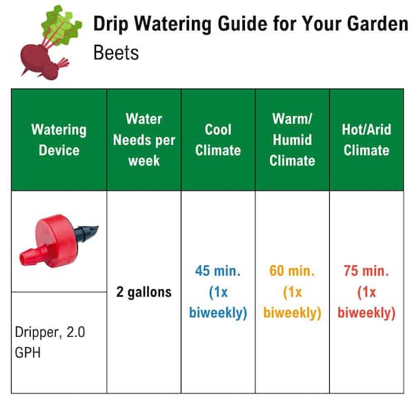 Rain Bird 1 GPH Pressure Compensating Spot Watering Drippers