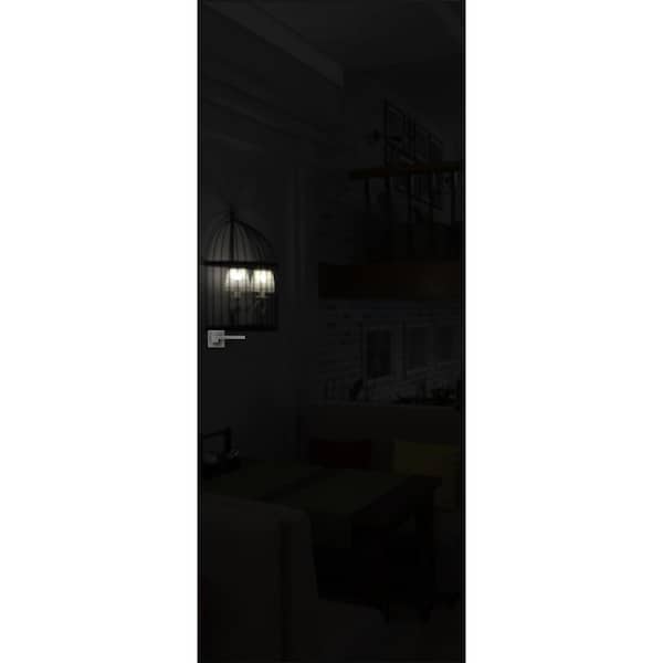 32 in. x 96 in. Unassembled Right-Hand/Outswing Black Color Flush Mount Hidden Door with Silver Hinge Finish