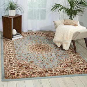 Delano Blue 4 ft. x 6 ft. Oriental Traditional Area Rug