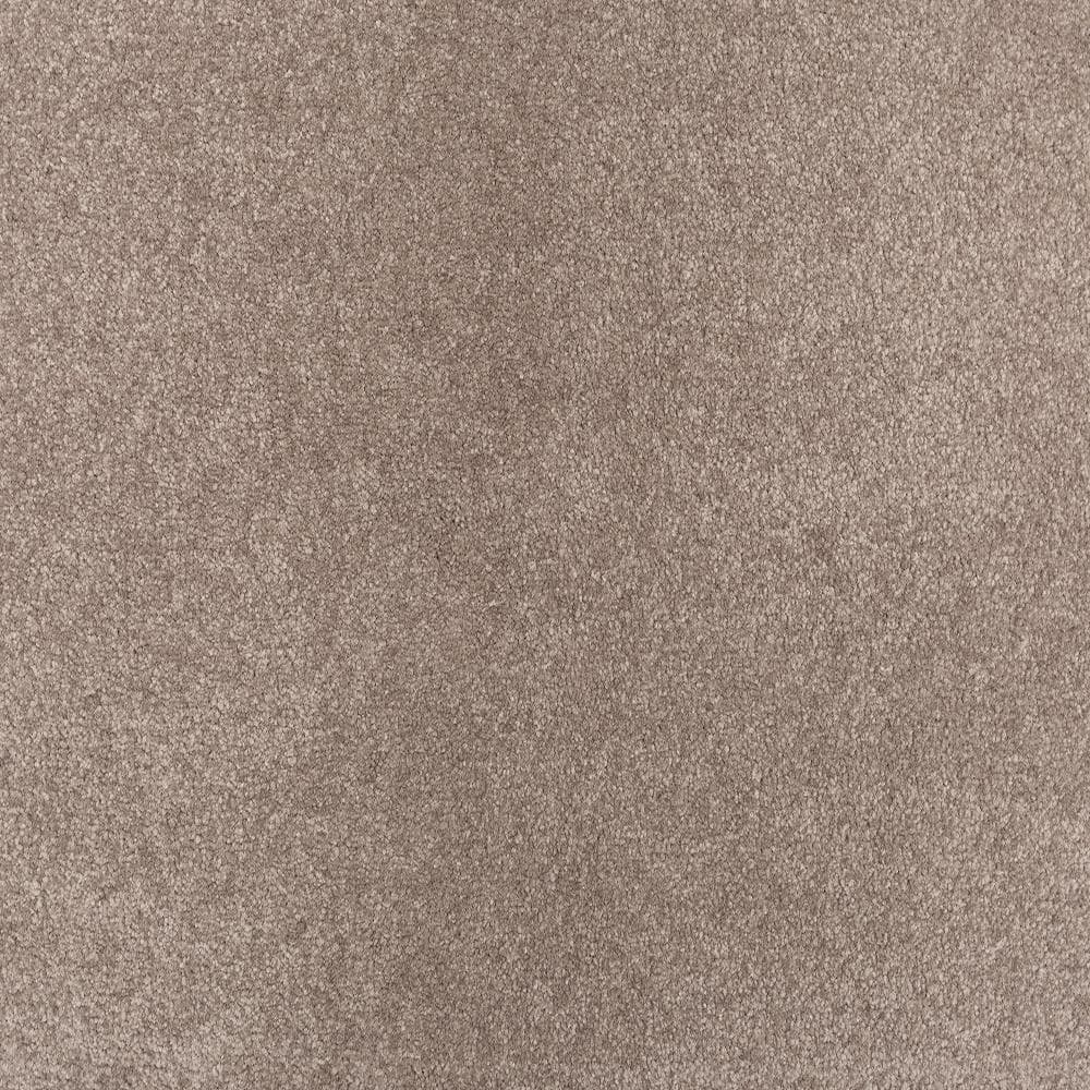 8 in. x 8 in. Texture Carpet Sample - Waking Up II - Color Silken price history on PriceWatchPro