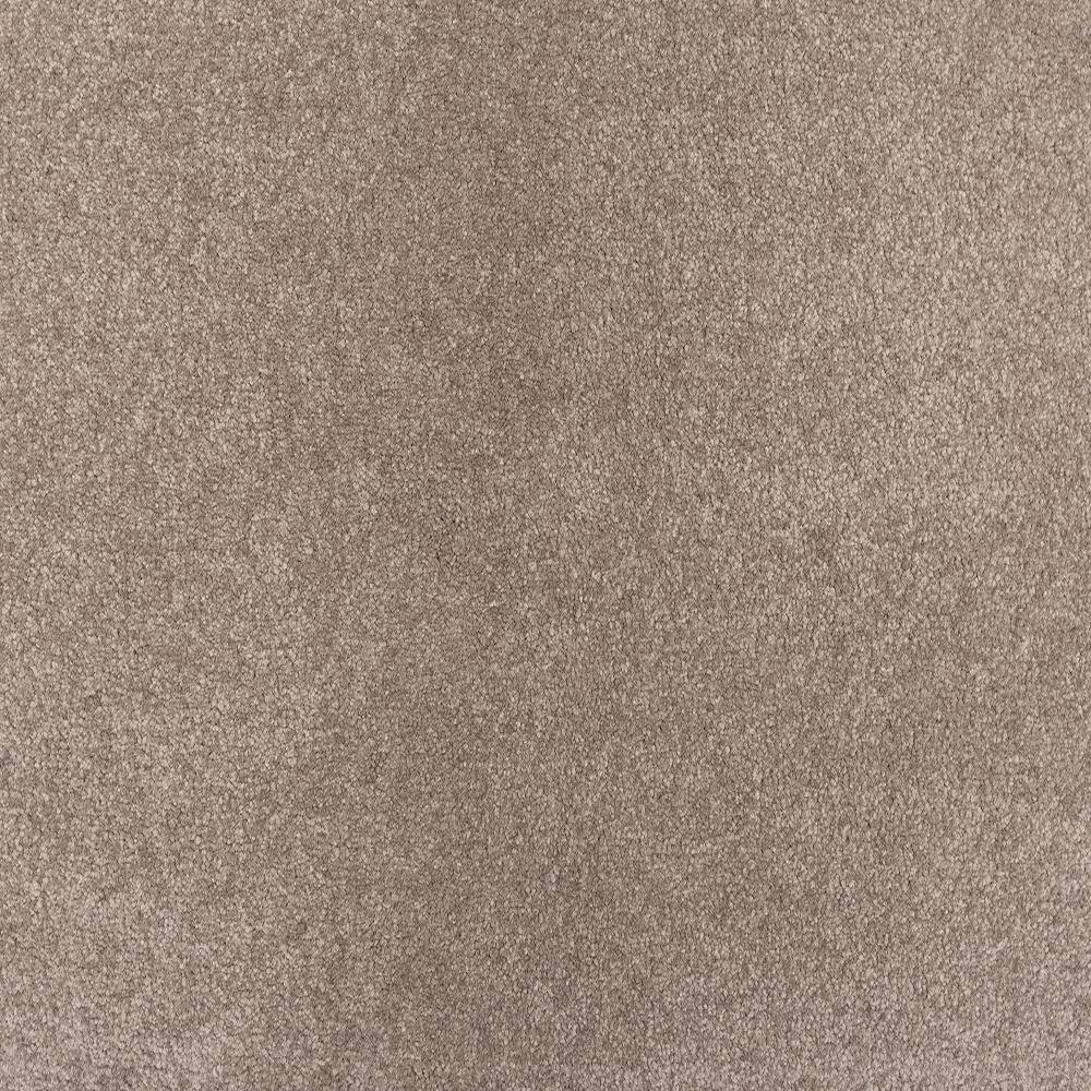 8 in. x 8 in. Texture Carpet Sample - Waking Up I - Color Silken price history on PriceWatchPro