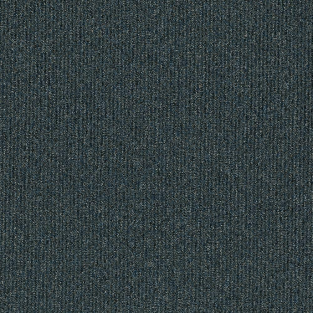 8 in. x 8 in. Loop Carpet Sample - Form Focus 26 - Color Sky price history on PriceWatchPro