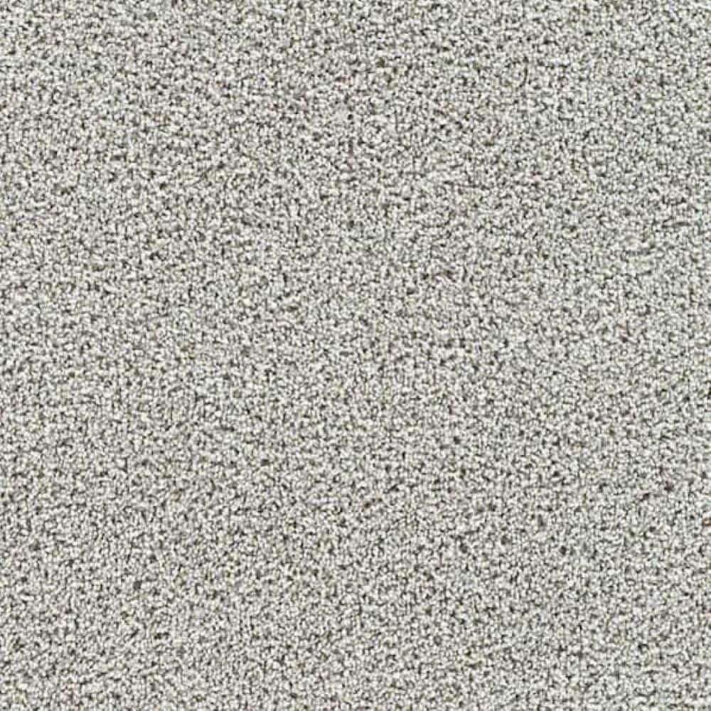 8 in. x 8 in. Texture Carpet Sample-Friendship Fables-Color Kindred price history on PriceWatchPro