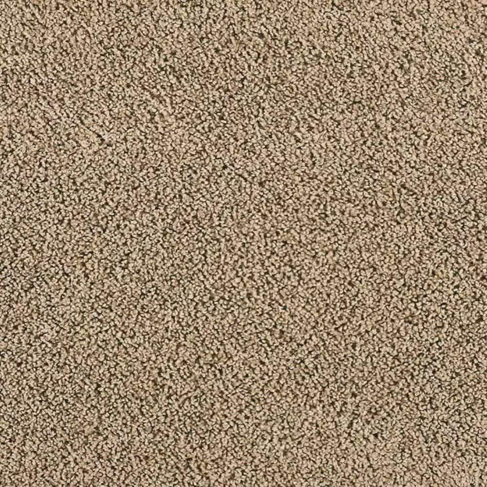8 in. x 8 in. Texture Carpet Sample-Whisk & Whimsy II-Color Beachcomber price history on PriceWatchPro