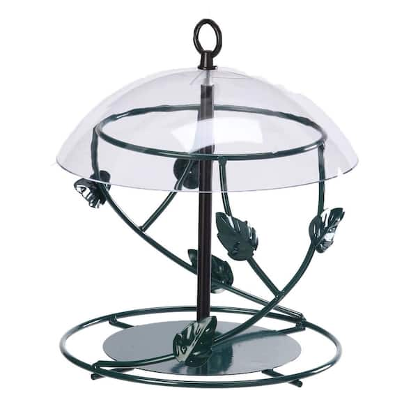 Birds Choice Hanging Seed Cylinder Bird Feeder