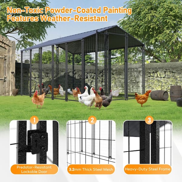 coops Karl home 13 ft x 10 ft Large Metal Chicken Run House with