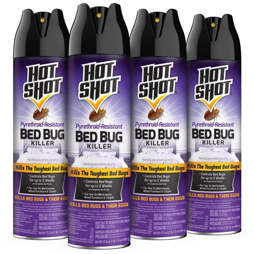 Hot Shot 17.5 oz. Pyrethroid-Resistant Bed Bug Insect Killer Aerosol (4 ...