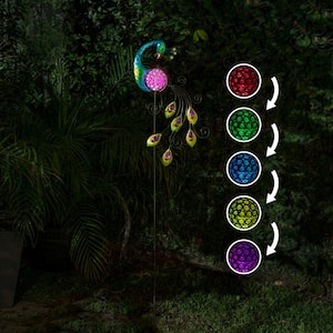 48 in. Tall Outdoor Solar Powered Garden Stake Peacock with Color Changing LED Lights