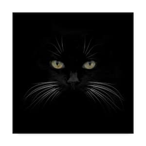 Lori Hutchison 'Black Cat Centered' Canvas Unframed Photography Wall Art 35 in. x 35 in