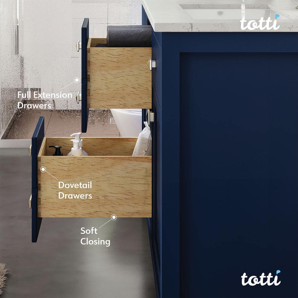 Artemis 48" Blue Solid Wood Double Sink Bathroom Vanity