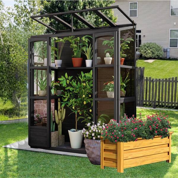 Unbranded - 57.9 in. W x 29.1 in. D x 78.1 in. H Black Wood Greenhouse with 4-Independent Skylights and 2-Folding Middle Shelves