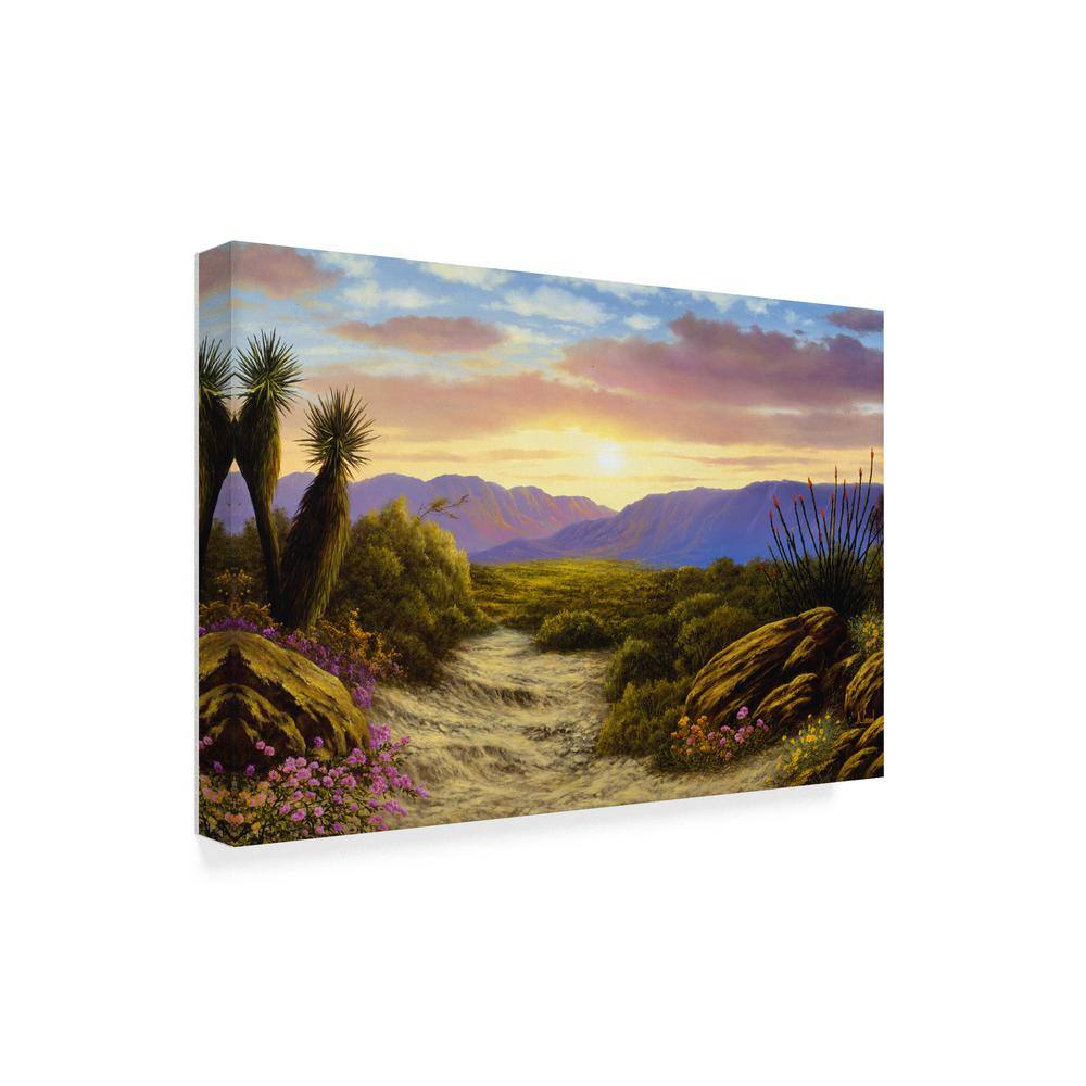 Desert Scene Giclee Print on Canvas with Floater Frame