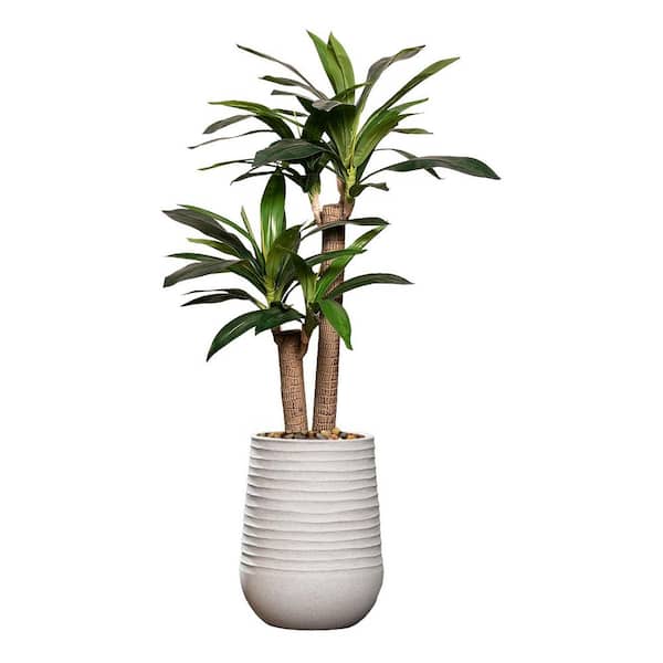 Vintage Home Vintage Home Artificial Faux Corn Plant 57 in. High Fake