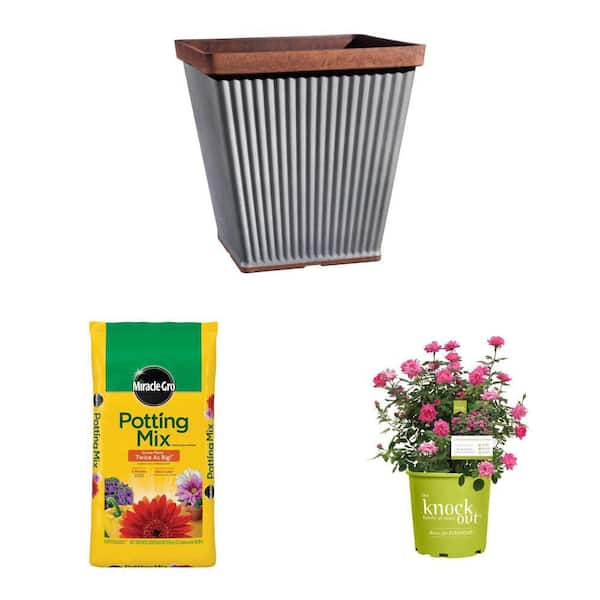Spokane 14in. Resin Planter, 50qt. Mix, 3 Gal. Pink Rose