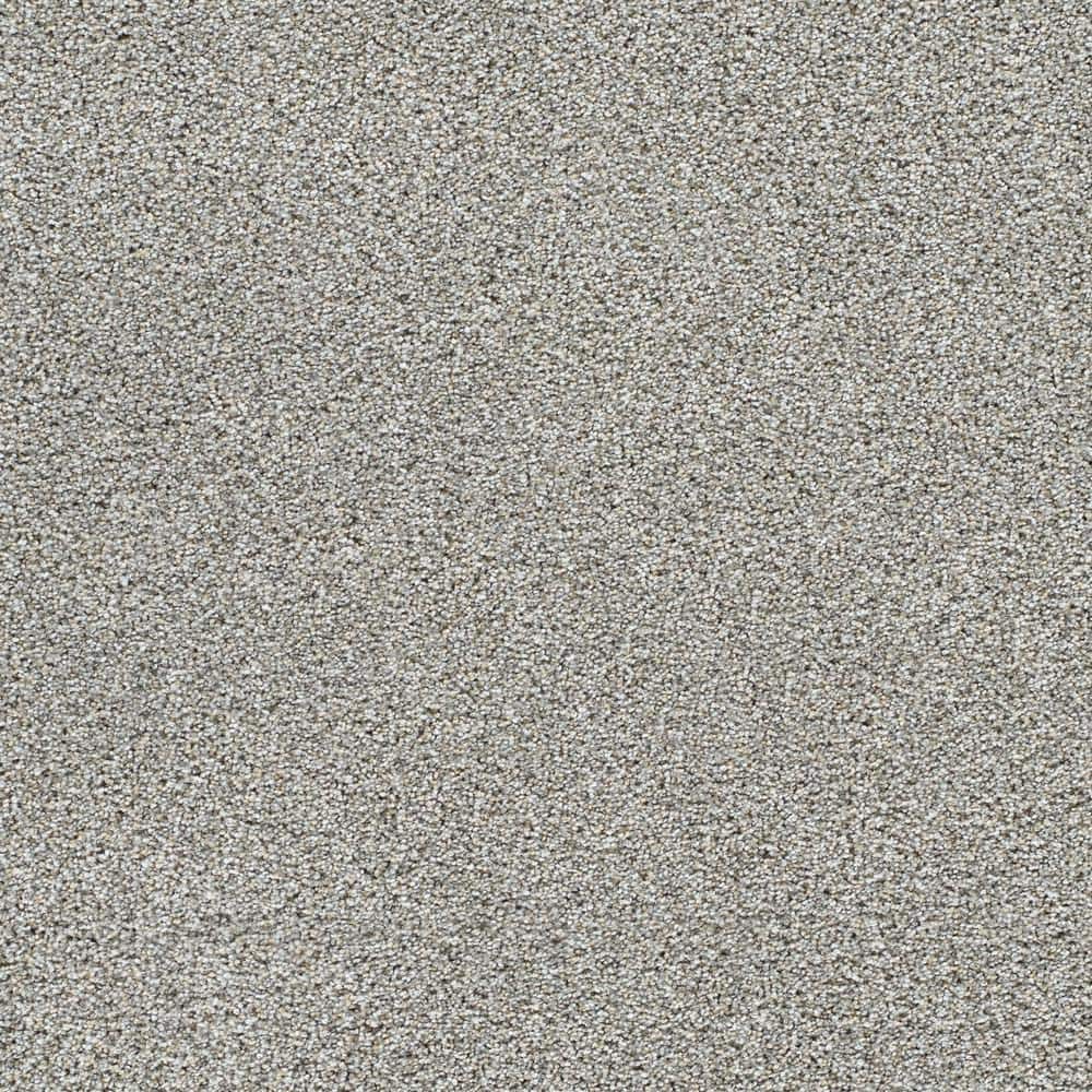 8 in. x 8 in. Texture Carpet Sample - Evermore III - Color Eternal price history on PriceWatchPro