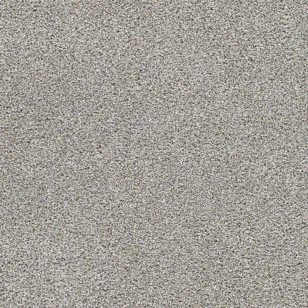 8 in. x 8 in. Texture Carpet Sample - Evermore I - Color Eternal price history on PriceWatchPro