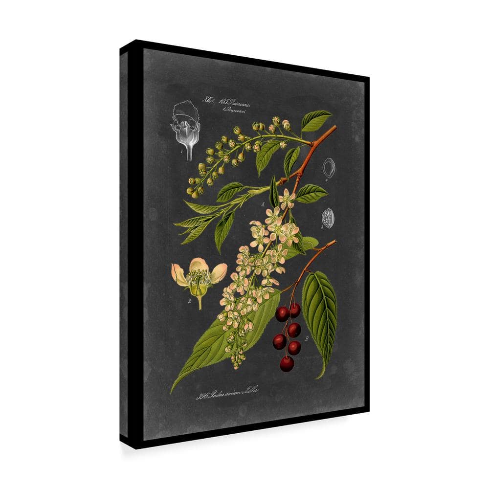 Vision Studio Midnight Botanical II Black Canvas Wall Art with Floater Frame