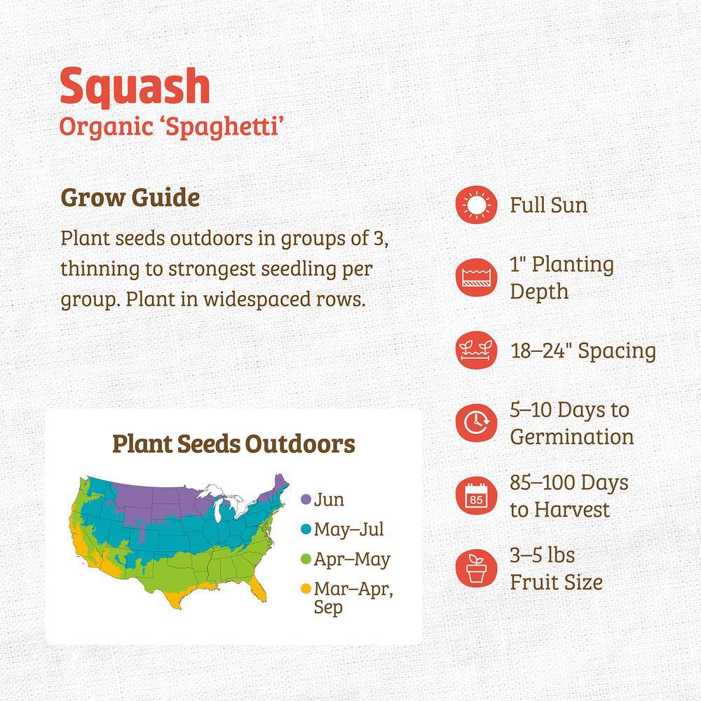 Organic Heirloom Winter Vegetable Spaghetti Squash Seeds
