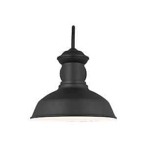 Fredricksburg 1-Light Black Outdoor Large Wall Lantern Sconce