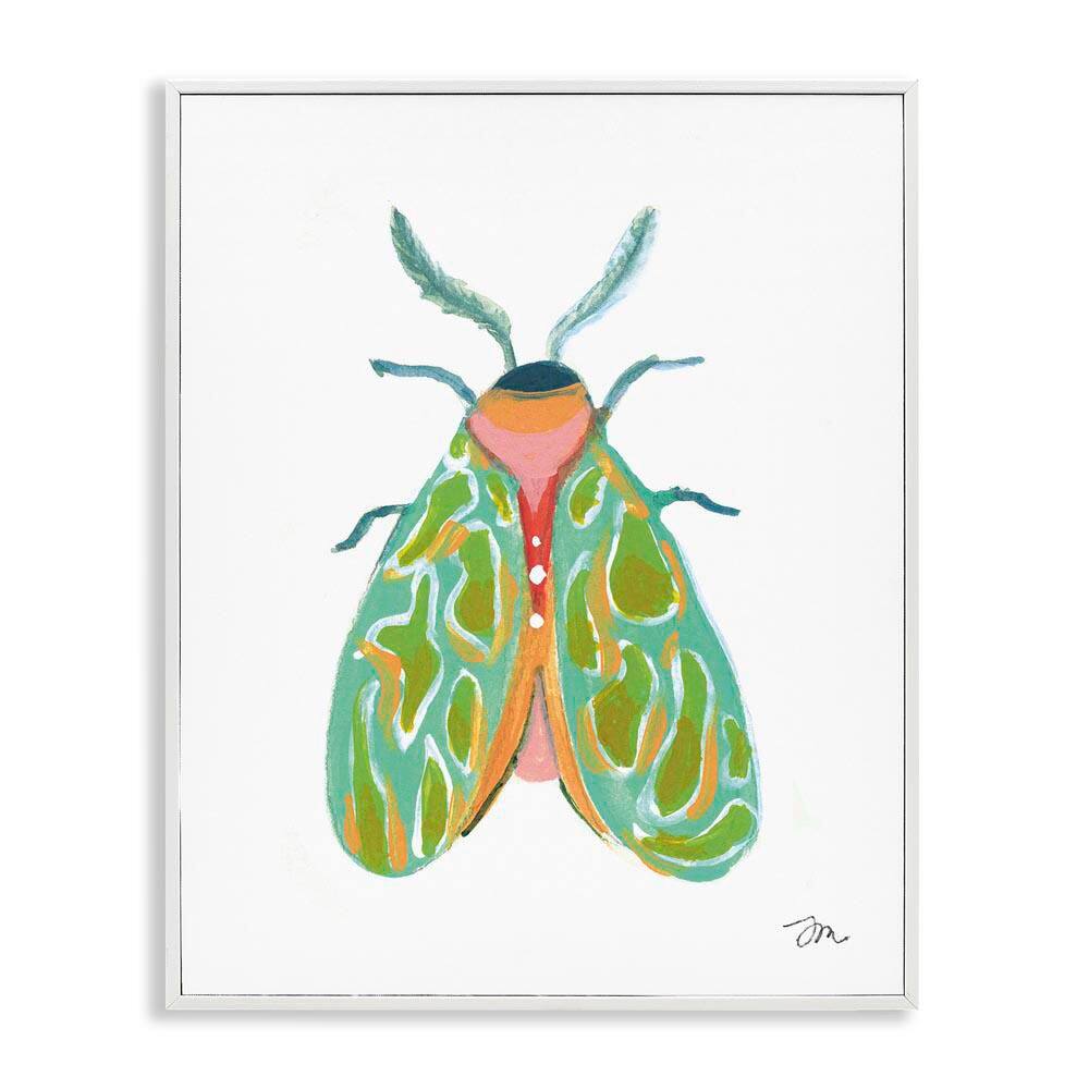 Green Pattern Moth by Jessica Mingo White Framed Animal Giclee Art Print 20 in. x 16 in. price history on PriceWatchPro