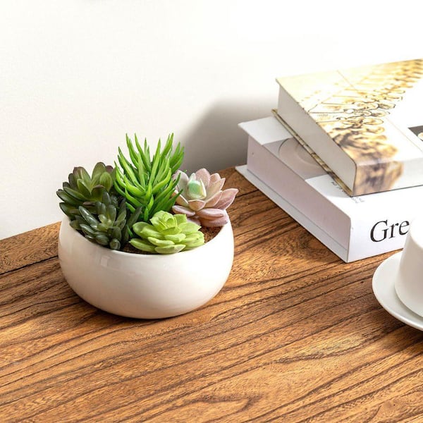 4.7 in. Artificial Succulent Arrangement in White Ceramic Pot WK1115 - The  Home Depot