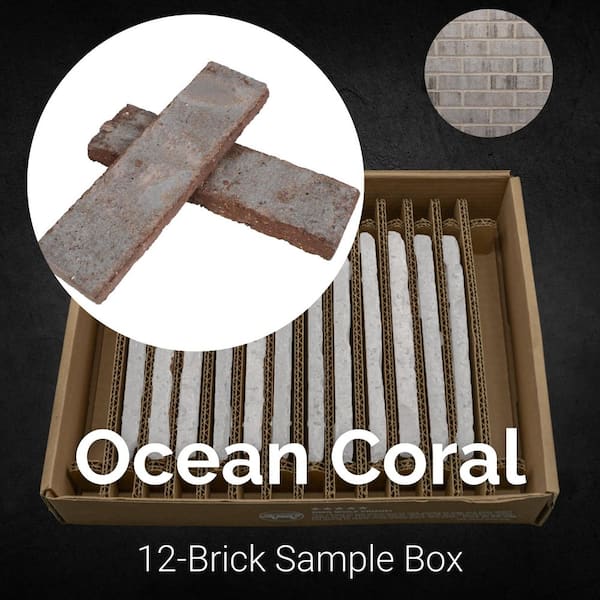 Old Mill Brick Sample Box Ocean Coral Thin Brick 7.625 in. x 2.25 in. x 0.5 in.