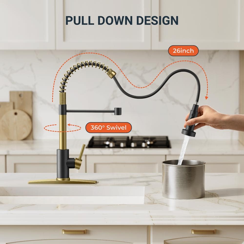 Black and Gold Stainless Steel High-Arc Kitchen Faucet with Pull-Out Spray