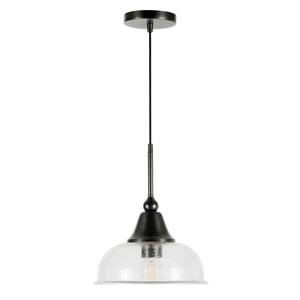 Magnolia 1-Light Aged Steel Pendant with Seeded Glass Shade