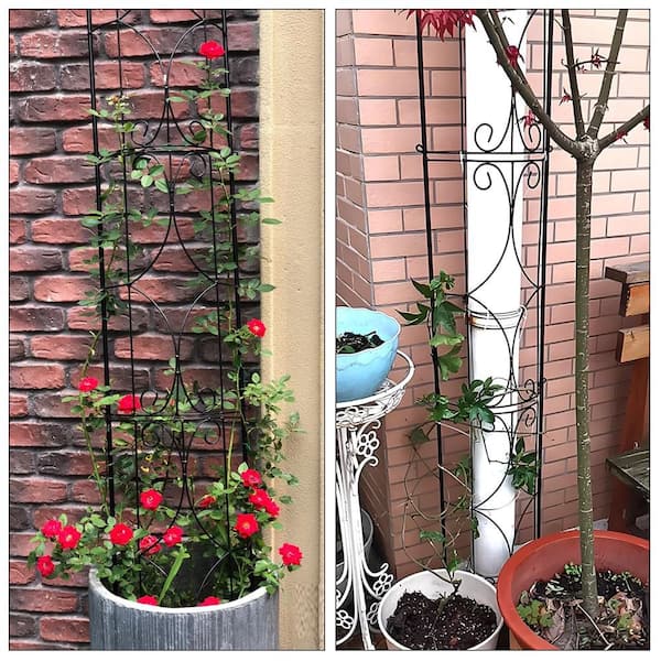 Hanging Trellis Single ハンギングトレリスシングル　庭手入 Amazon.com : GQJNHUI Wall Planter for Climbing Plants Outdoor