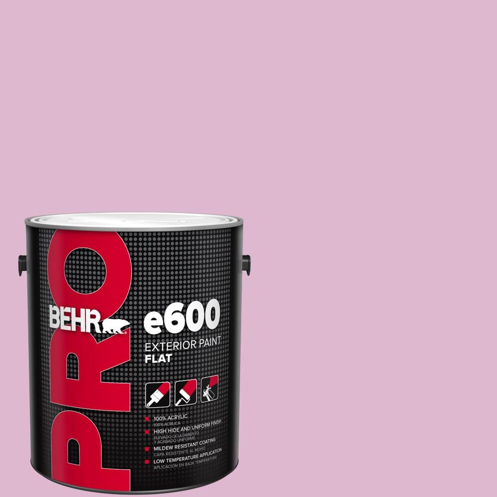 1 gal. #M120-3 Pink Wink Flat Exterior Paint price history on PriceWatchPro