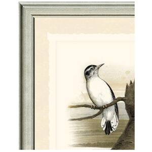 16 in. x 20 in. Woodpeckers Framed Archival Paper Wall Art