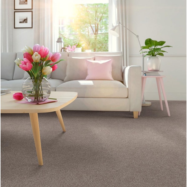 Coastal Charm II Color River Pebble Brown Texture 56 oz. Nylon Texture Carpet - Installation Required