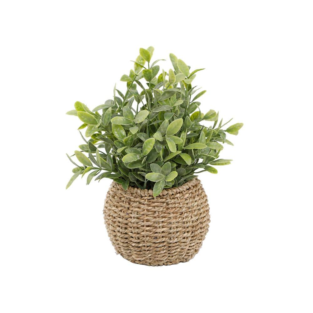 Flora Bunda 11.75 In. H Artificial Tealeaf In 6 In. Basket CS5102E-BRN ...