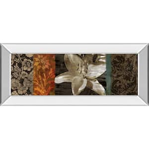 "Evanescent I" By Keith Mallet Mirror Framed Print Wall Art 18 in. x 42 in.