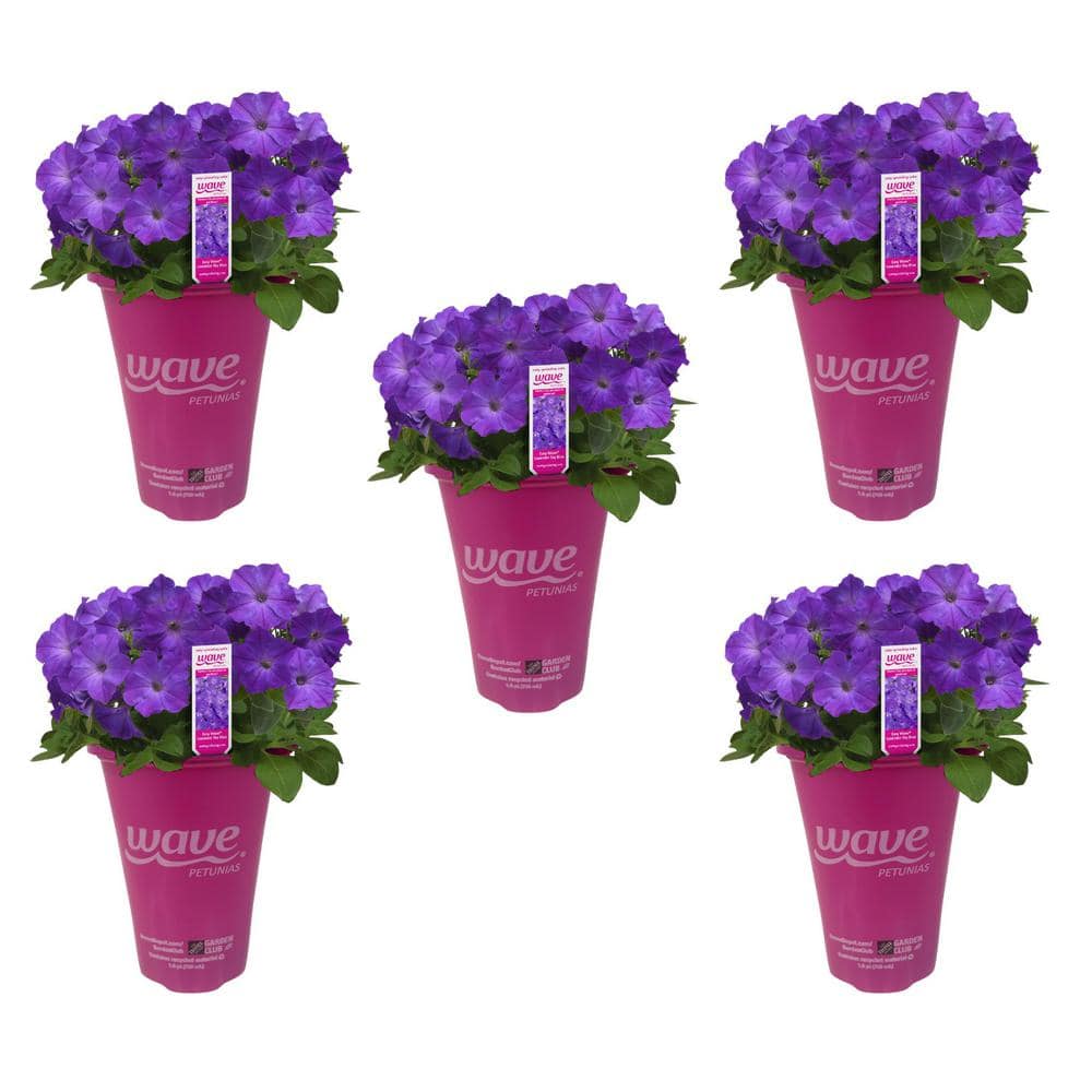 EASY WAVE 1.5 pt. Lavender Sky Blue Easy Wave Petunia Annual Plant with ...