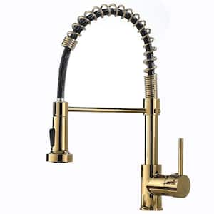 Contemporary Single-Handle Gooseneck Pull Down Sprayer Kitchen Faucet in Brushed Gold