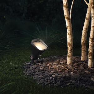 HINKLEY Accent Flood Light Low Voltage Matte Bronze Landscape