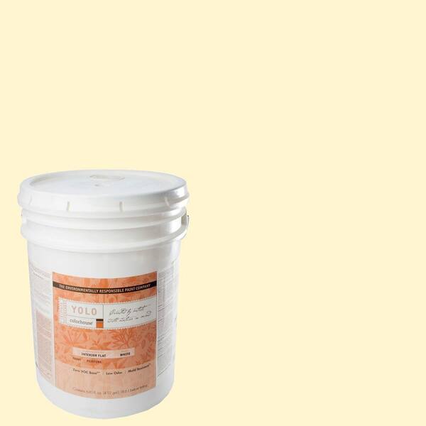 YOLO Colorhouse 5-gal. Air .04 Flat Interior Paint-DISCONTINUED