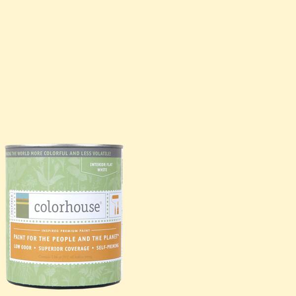 Colorhouse 1 qt. Air .04 Flat Interior Paint