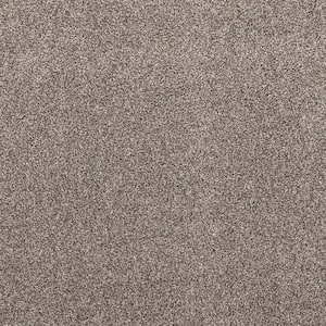 Plush Dreams II - Hushed-Brown 12 ft. 53 oz. Triexta Texture Installed Carpet