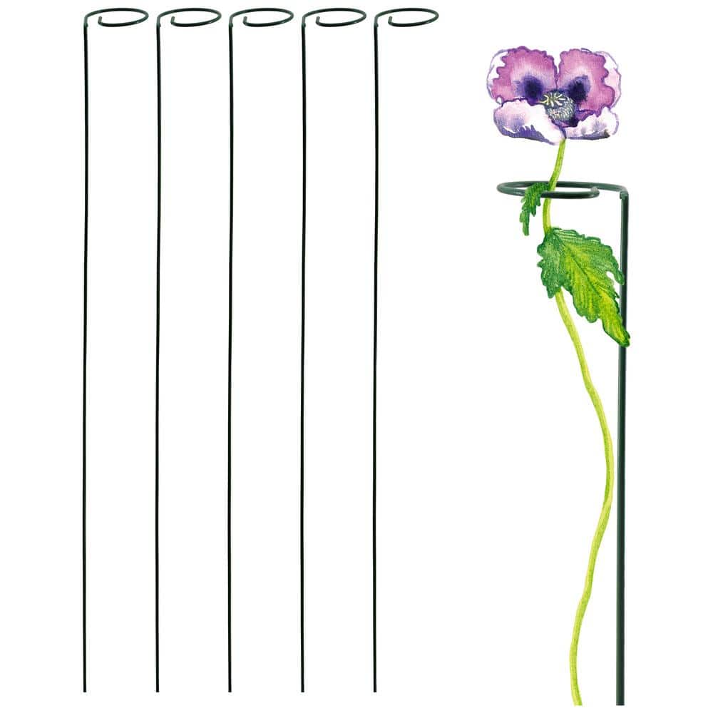 40 in. H. x 3 in. Loop Flower Support (5-Pack)