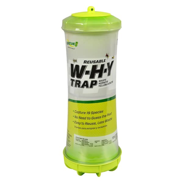 RESCUE WHY Trap for Wasps, Hornets & Yellowjackets Insect Trap