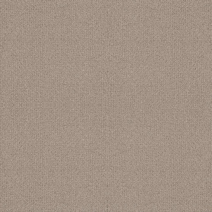 Tower Road - Buff - Beige 32.7 oz. SD Polyester Loop Installed Carpet