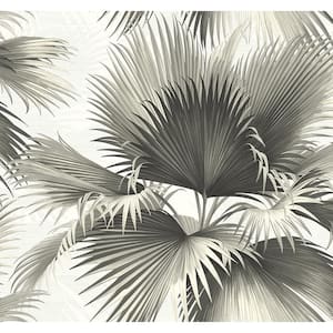 Endless Summer Black Palm Paper Strippable Roll Wallpaper (Covers 60.8 sq. ft.)