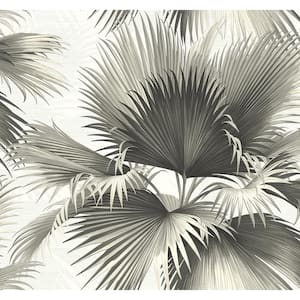 Endless Summer Black Palm Black Wallpaper Sample